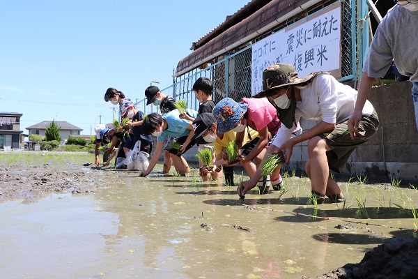 600JA大阪南/「奇跡の復興米」大きく育って/0607①.jpg