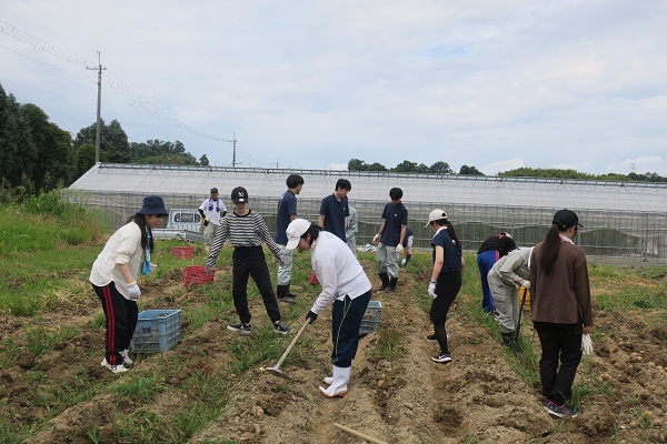 大阪南／新入職員が農業体験／0710.JPG