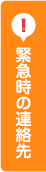 緊急時の連絡先