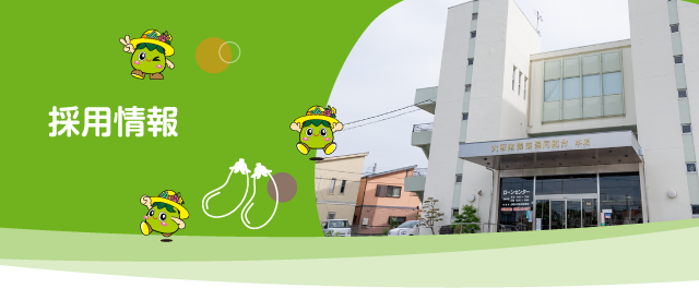 採用情報