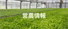 営農情報