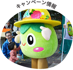 キャンペーン情報