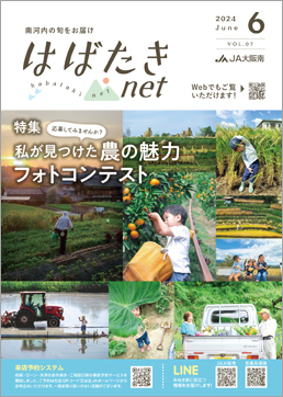 2024年6月号