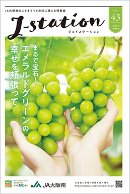 最新号 2025年度 第43号